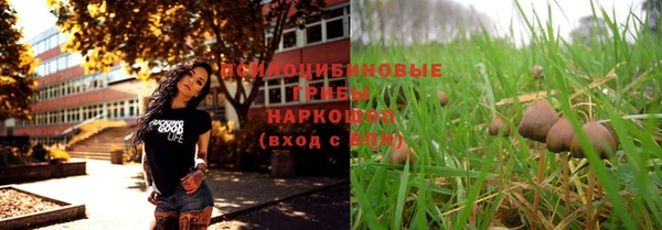 альфа пвп Козловка