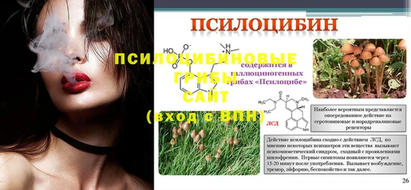 прущие крисы Козельск
