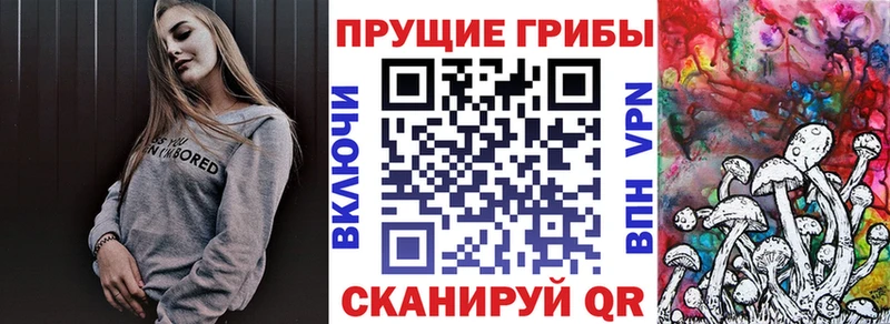 Псилоцибиновые грибы GOLDEN TEACHER Павловская