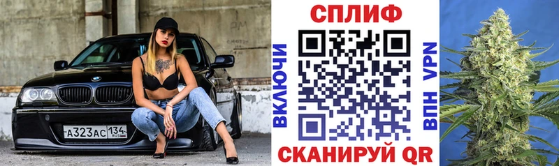 Бошки марихуана индика  где купить наркоту  Павловская 